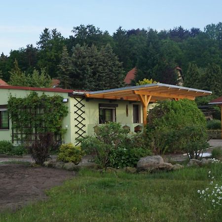 Ferienhausteube Kurort Gohrisch Exteriér fotografie